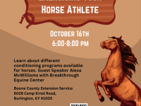 Conditioning Program for Horses (Oct 16)